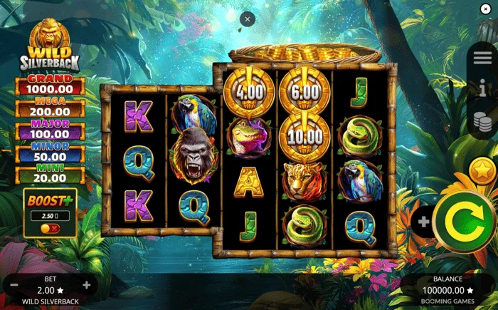 Wild Silverback - Hovedskærm med 3-3-4-4-4 gitter